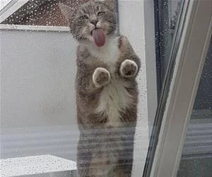 Cleaning_All_Thedrops_s.webp
