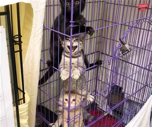 Climbing_Together665_s.webp