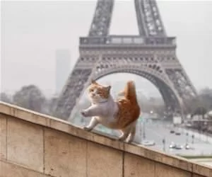 Climbing_Up_With_Class_s.webp