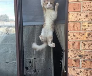 Climging_Out_s.webp