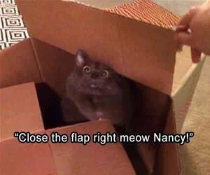 Close_The_Flap_s.webp