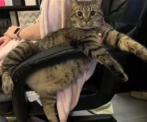 Cmon_Move_Over_s.webp