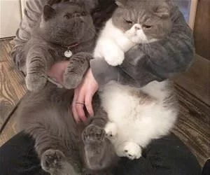 Couple_Of_Us_Together_s.webp