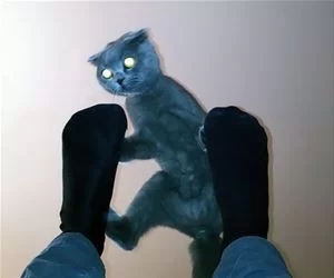 Crawling_Up_s.webp