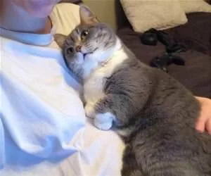 Cuddles5566_s.webp