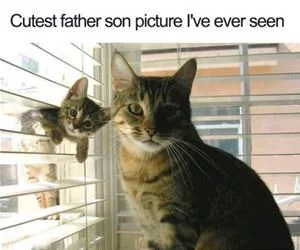 Cutest_Father_Son_s.webp