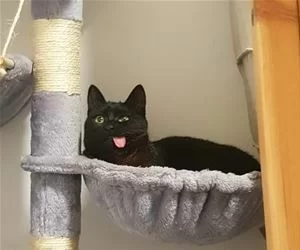 Derppppp43_s.webp