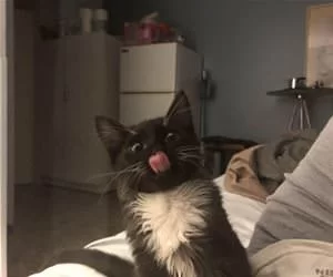 Did_You_Open_A_Snack_s.webp