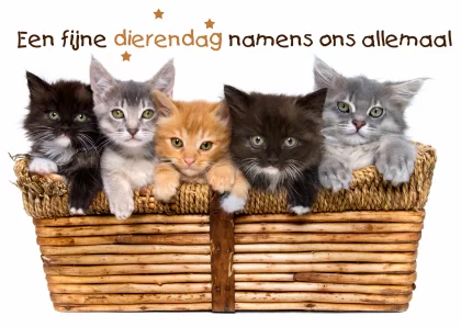 Dierendag.webp