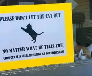 Do_Not_Let_The_Cat_Out8860_s.webp