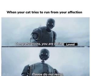Do_Not_Resist_s.webp