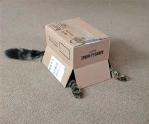 Do_You_See_Me_Now_s.webp