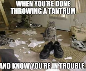 Done_Throwing_A_Tantrum_s.webp