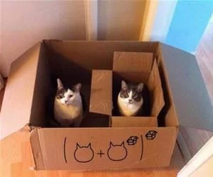 Double_Box_s.webp