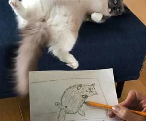Drew_A_Kitty_s.webp