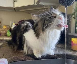 Drink_Some_Water_s.webp