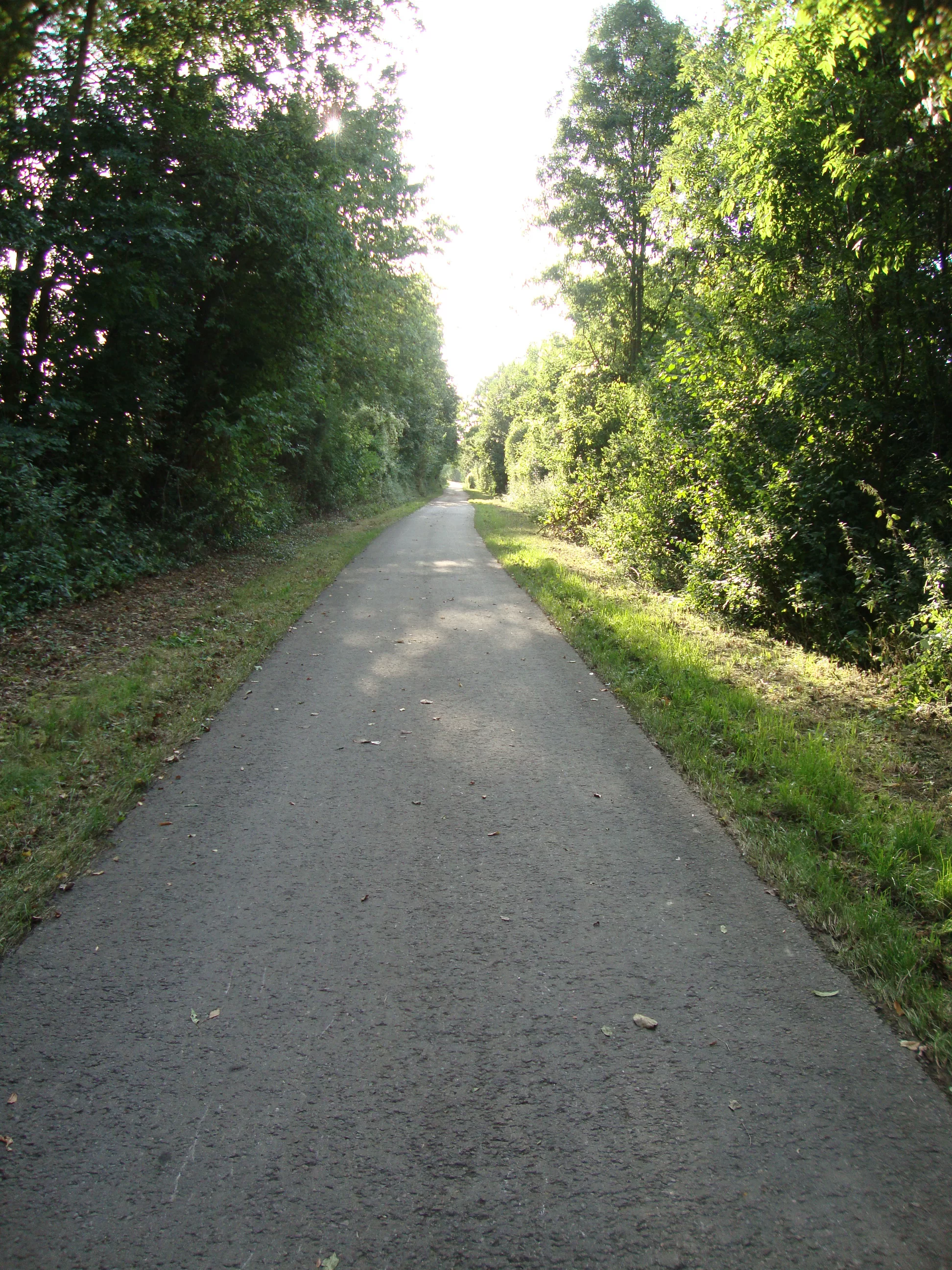 DSC03361.webp