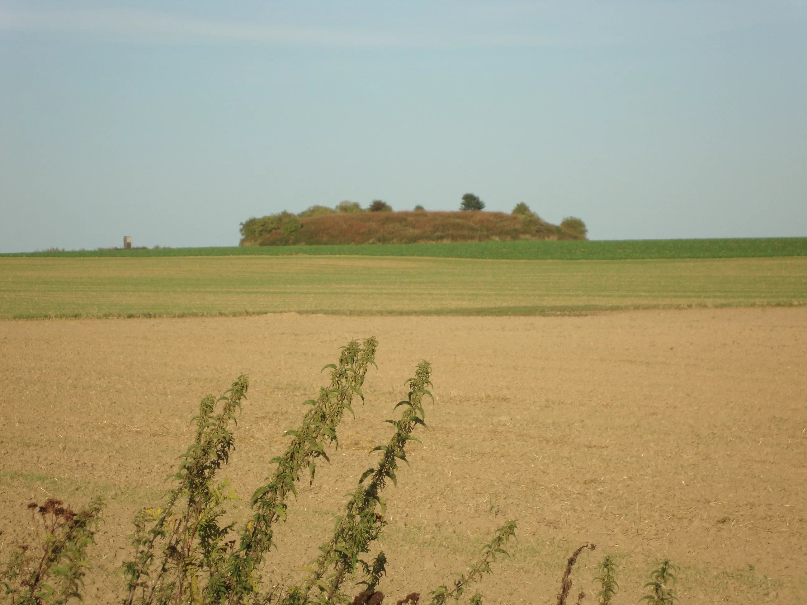 DSC03364.webp