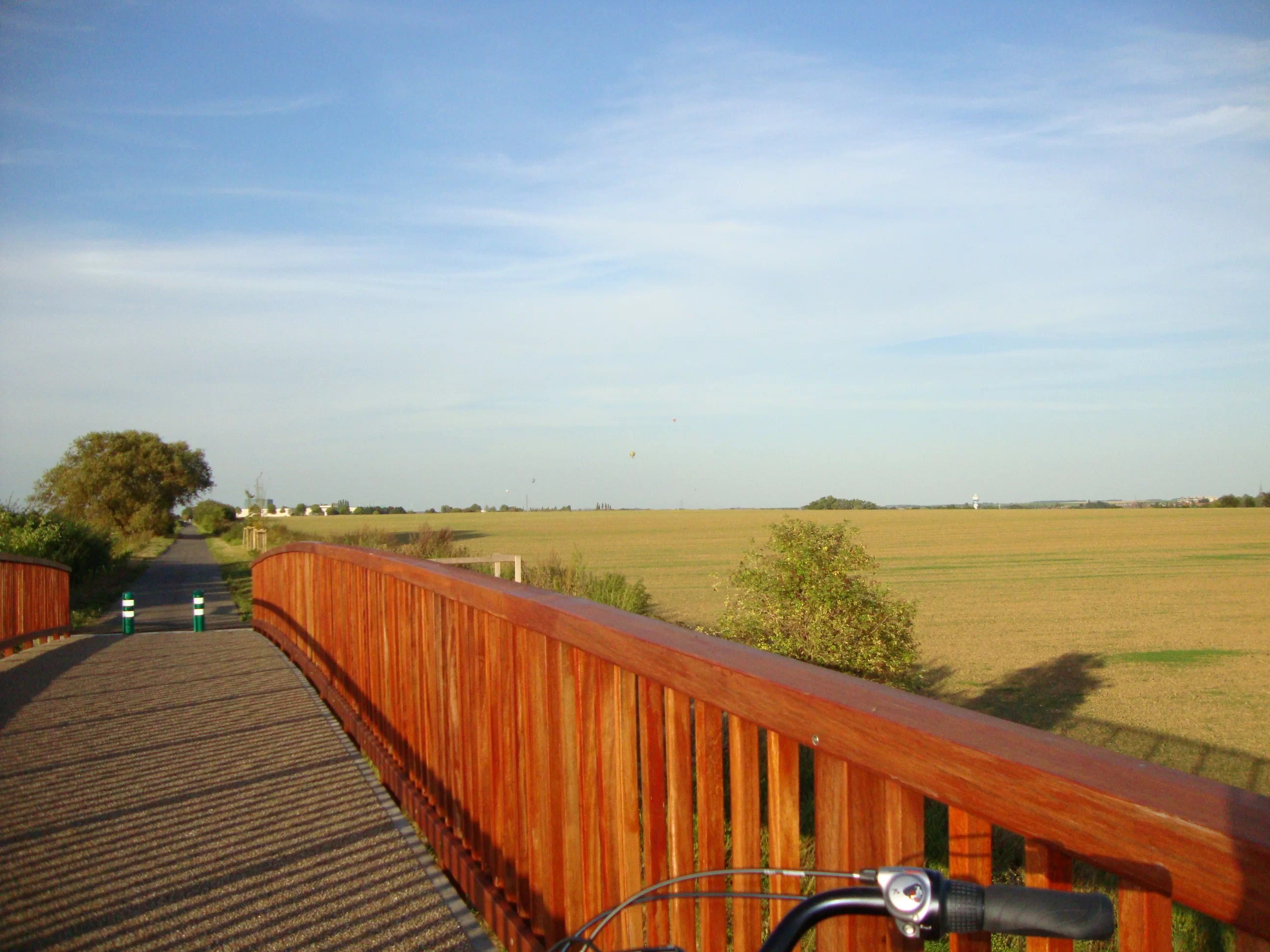 DSC03376.webp
