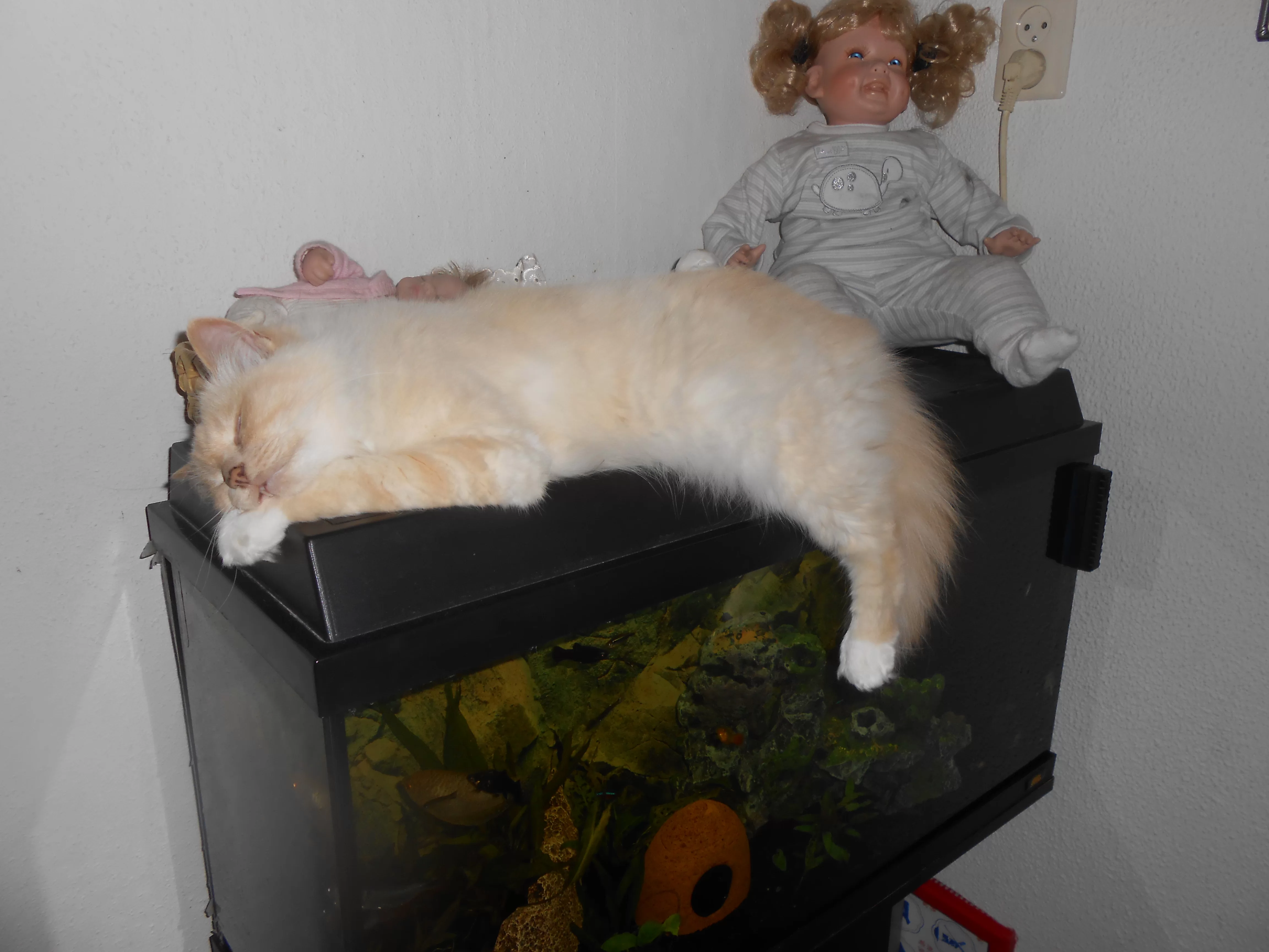 DSCN0833.webp