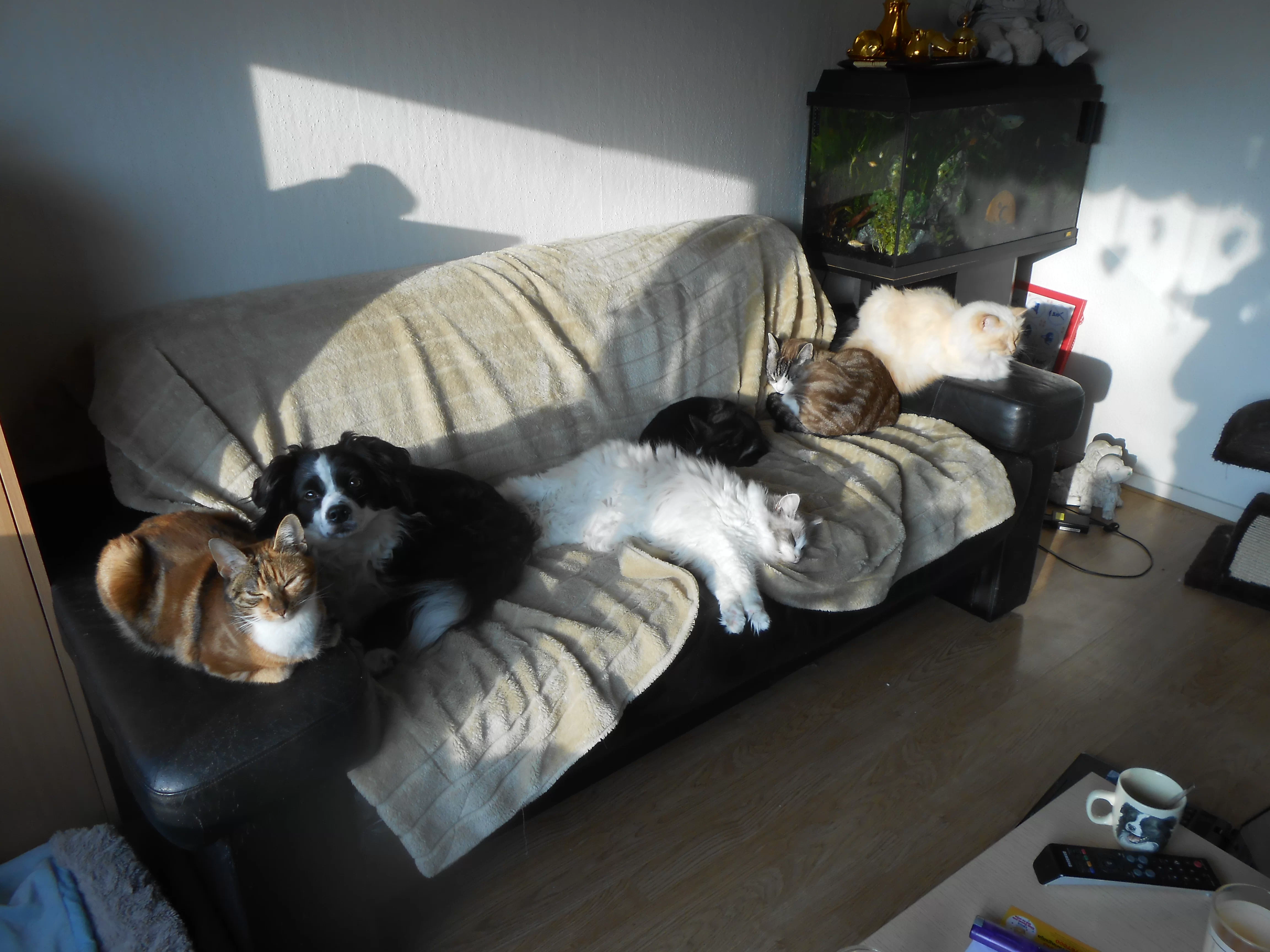 DSCN1113.webp