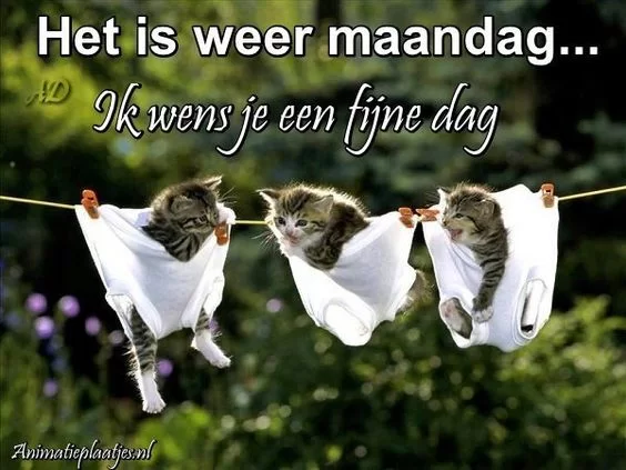 e79f9ab6370db1a1db7b80d2092f92ef.webp