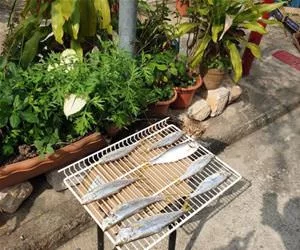 Eating_Some_Fish_s.webp