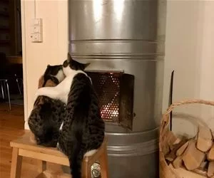 Enjoying_The_Warm_s.webp