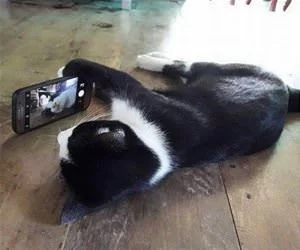 Face_Timing_s.webp