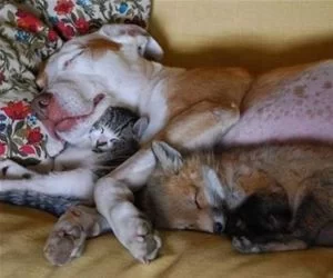 Family_Hug_s.webp