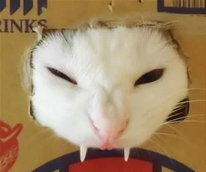Fangs_Out_s.webp