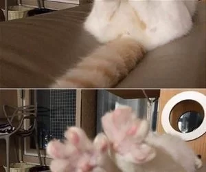 Feet_Out7410_s.webp