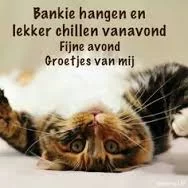 fijne avond 30.webp