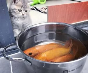 Fishies_s.webp