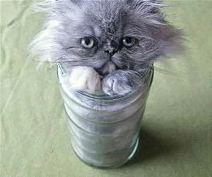 Fits_Perfectly_s.webp