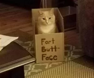For_Butt_Face_s.webp
