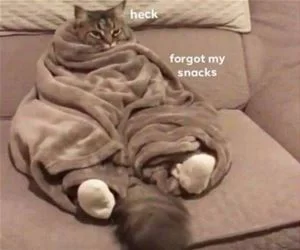 Forgot_My_Snacks_s.webp