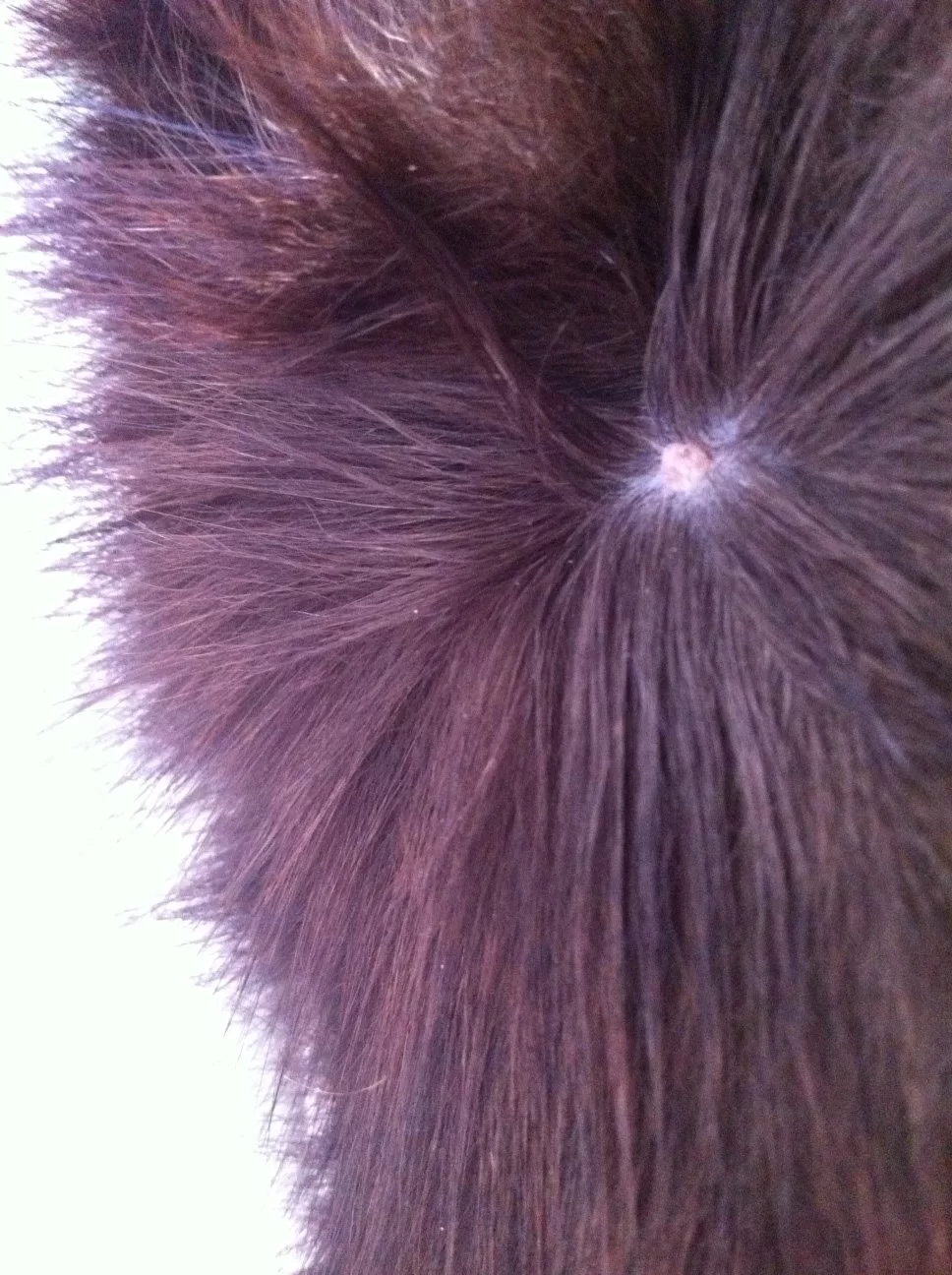 foto.webp