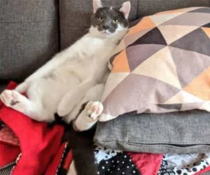 Found_A_Perfect_Spot_s.webp