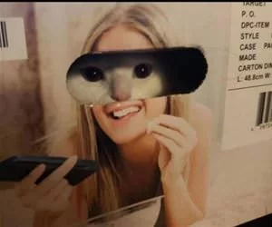 Freaking_Me_Out_s.webp