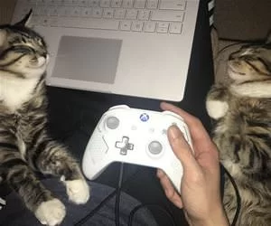 Gaming_Time_s.webp