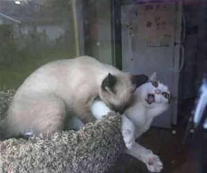 Get_Offffffff_s.webp