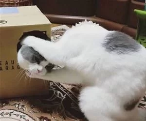 Get_Out_Of_There_s.webp