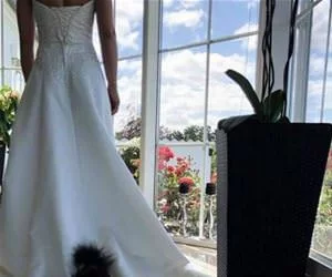 Getting_Married_Huh_s.webp