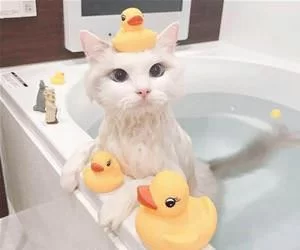 Getting_My_Bath1937_s.webp