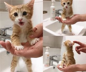 Getting_Myself_A_Bath_s.webp
