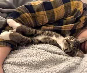 Getting_Some_Sleep_s.webp