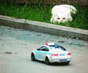 Getting_The_Police_Car_s.webp