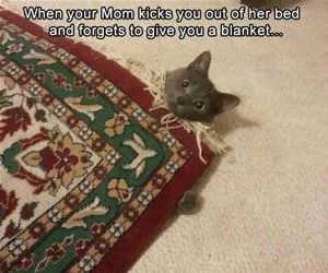 Give_Me_A_Blanket_s.webp