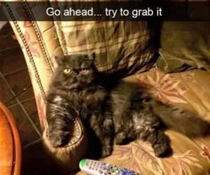 Go_Ahead_And_Try2085_s.webp